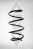 SPIDAN 56933 Coil Spring